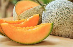MELON KUNING