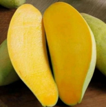 MANGGA GOLEK