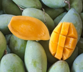 MANGGA HARUM MANIS